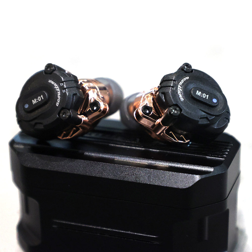 HSX1001 C:02+M:02
